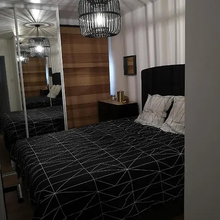 L'albatros - Vue Saint-Hilaire-de-Riez