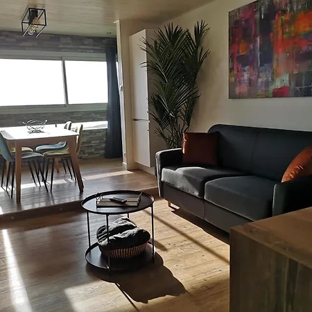 L'albatros - Vue Saint-Hilaire-de-Riez