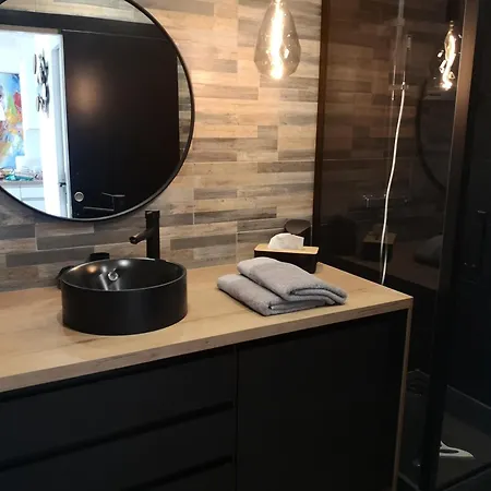 L'albatros - Vue Saint-Hilaire-de-Riez