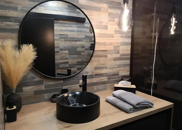 L'albatros - Vue Saint-Hilaire-de-Riez